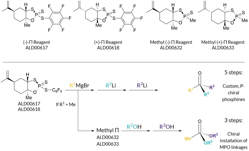 Phosphorus incorporation (PI) with simplified mechanism.