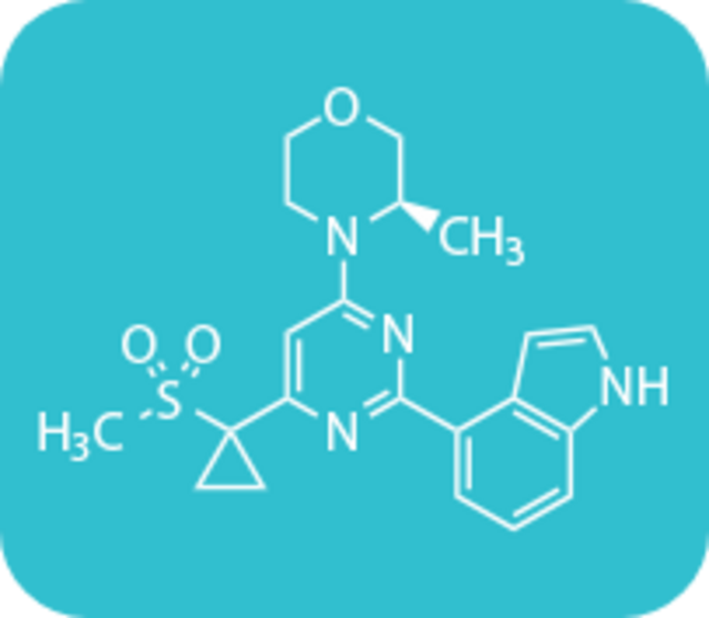 Removed three reaction steps from overall synthesis pathway Removed three reaction steps from overall synthesis pathway