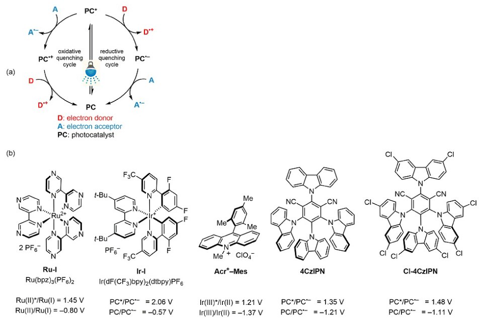 (a) Single-Electron Transfer (SET) Mechanism. (b) Popular Oxidizer Photocatalysts. (Ref. 1) Top is the cycle representing the Single-Electron Transfer (SET) Mechanism of  photoredox catalysis and below are the chemicals structures of popular oxidizer photocatalysts (from left to right), Ru(bpz)3(PF6)2, Ir(dF(CF3)ppy)2(dtbpy)PF6, Fukuzumi’s acridinium salt (Acr+–Mes), 4CzIPN, and Cl-4CzIPN