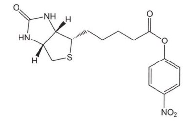 Biotin-ONp Biotin-ONp