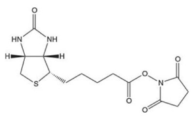 Biotin-OSu Biotin-OSu