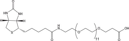 N-Biotinyl-NH-PEG11-COOH N-Biotinyl-NH-PEG11-COOH