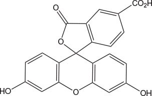 caboxyfluorescein caboxyfluorescein