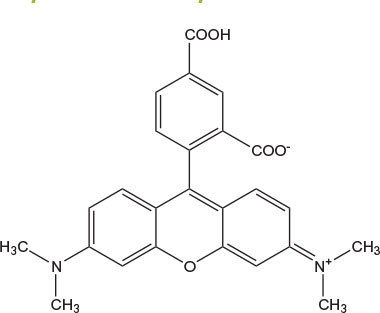 carboxytetramethyl carboxytetramethyl