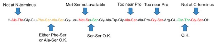 Designing a synthesis with secondary amino-acid Designing a synthesis with secondary amino-acid