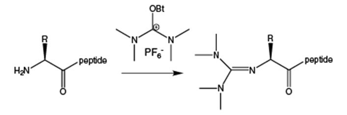 guanidinylation guanidinylation