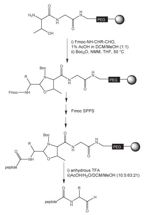 preparation-peptide-aldehydes preparation-peptide-aldehydes