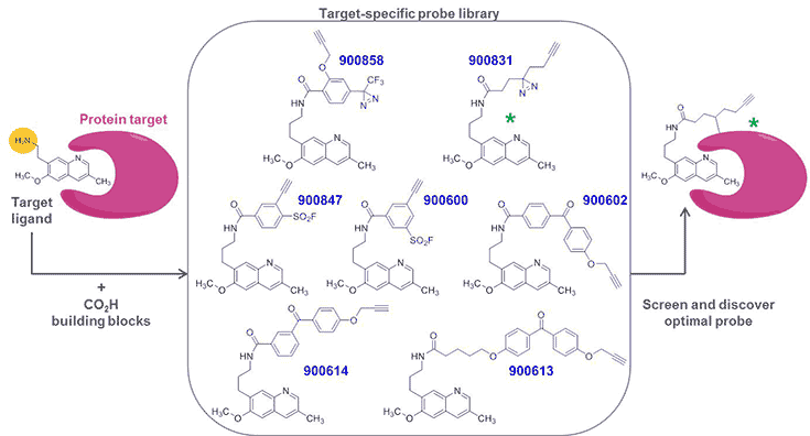 Target-specific probe library Target-specific probe library