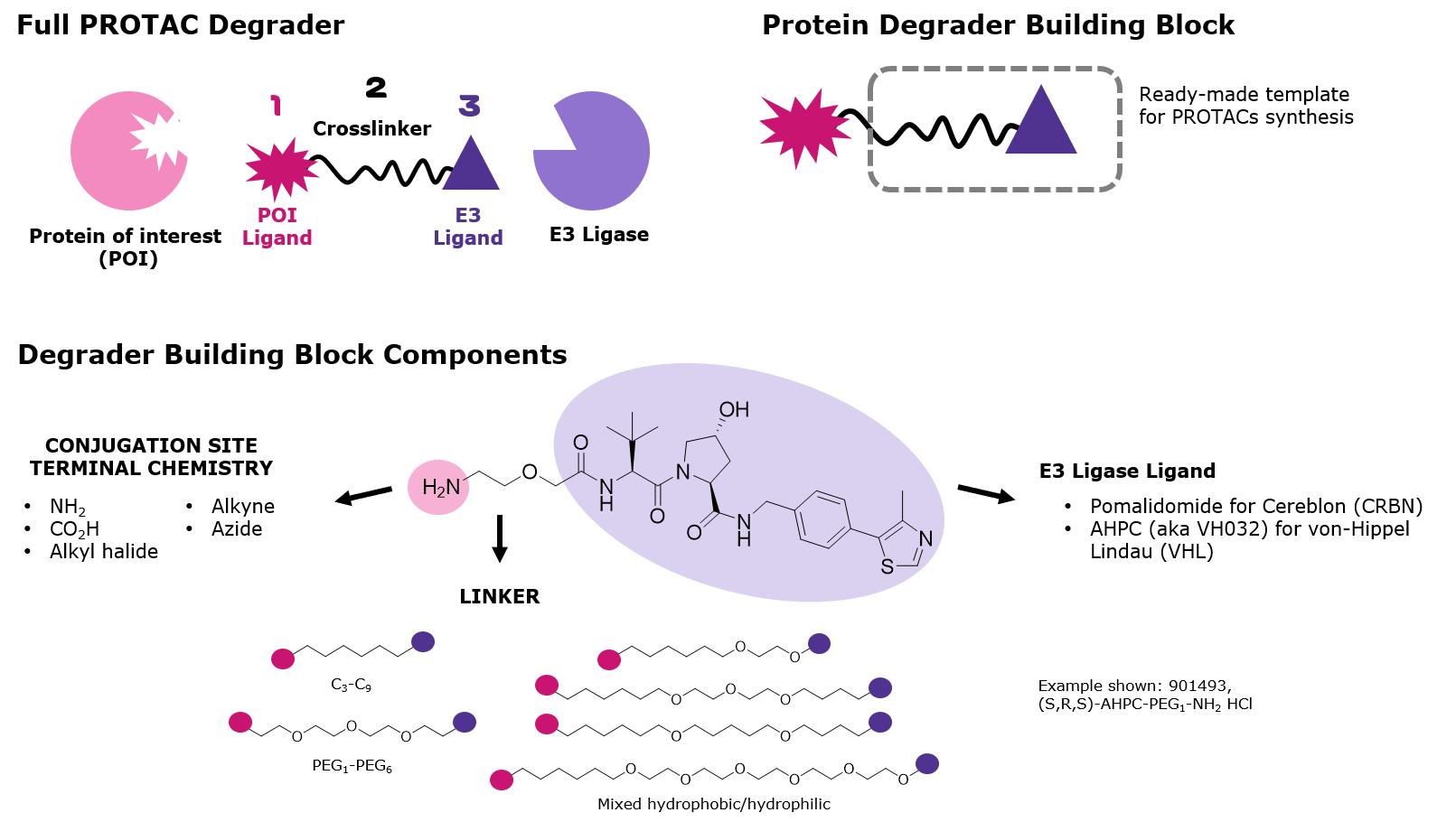 Primary components of PROTAC protein degraders PROTAC Synthesis
