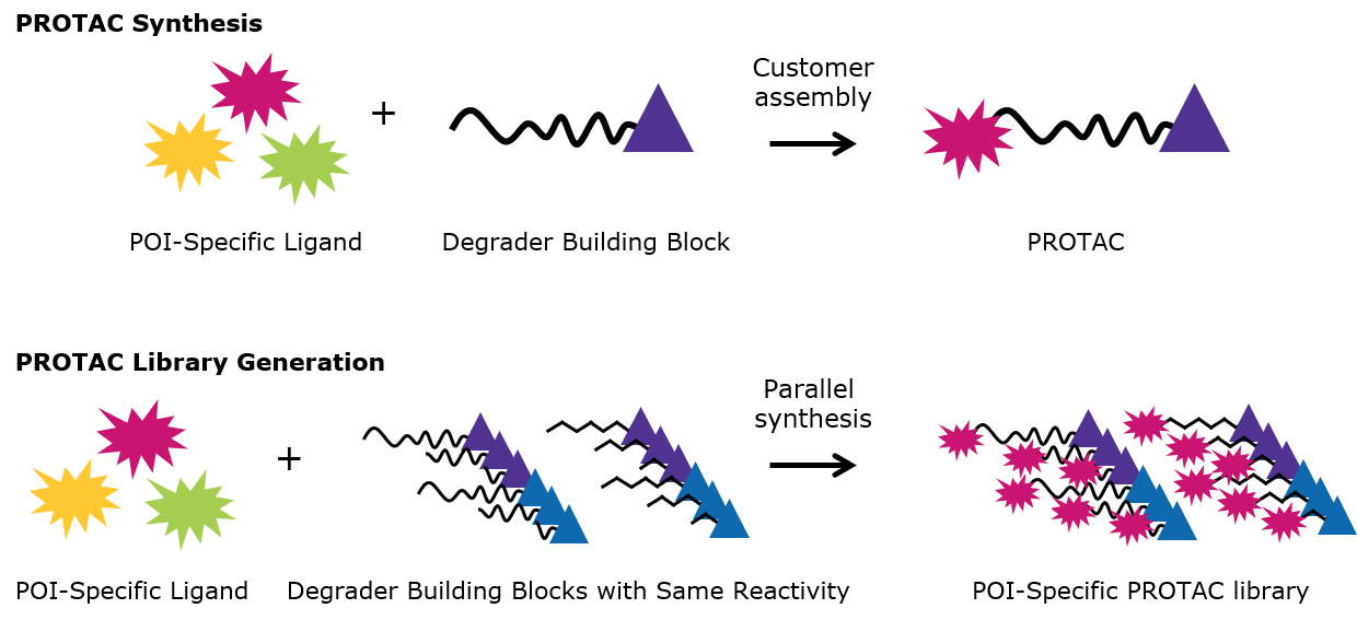 PROTAC Synthesis and PROTAC Library Generation PROTAC Synthesis and PROTAC Library Generation