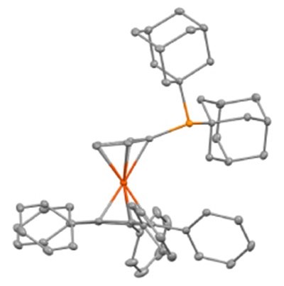 Ball-and-stick model of AdQPhos A three-dimensional molecular structure featuring a central transition metal atom coordinated to multiple ligands. The structure includes several phenyl rings and bulky substituents, characteristic of a sterically demanding phosphine ligand. Two large ligands are connected through phosphorus atoms, each bonded to aromatic rings and additional substituents, creating a highly congested coordination environment. The metal center exhibits a square planar or distorted tetrahedral geometry, and it is bound to both phosphorus atoms and to two cyclopentadienyl-like rings that are nearly coplanar. The atomic bonds and elements are represented using ball-and-stick notation, with the metal-ligand bonds clearly highlighted.