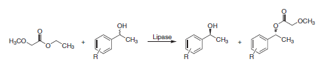 Lipase-catalyzed resolution of aryl-substituted alcohols Lipase-catalyzed resolution of aryl-substituted alcohols