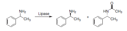 Lipase-catalyzed resolution of racemic amines. Lipase-catalyzed resolution of racemic amines.