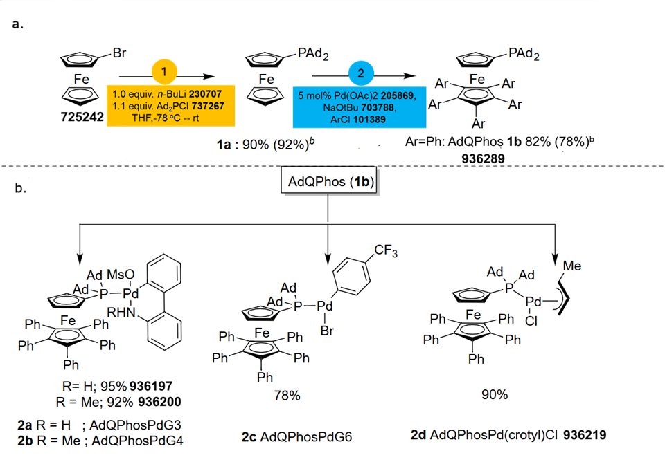 Synthesis of (a)  AdQPhos and (b) AdQPhos precatalysts.<br><br><sup>a</sup>Conditions: bromoferrrocene (5.0 mmol), n-BuLi (5 mmol), Ad<sub>2</sub>PCl (5.5 mmol), THF (55 mL), -78 - 23 °C, 19 h; 1a (4.45 mmol), NaO-<i>t</i>Bu (44.5 mmol), ArCl (445 mmol), Pd(OAc)<sub>2</sub> ( 0.225 mmol), 110 °C.<br><sup>b</sup>reaction scale was at 30 g of starting material. A two-part synthetic scheme outlining the preparation of the bulky ligand AdQPhos and its palladium precatalysts. In part (a), the synthesis of AdQPhos is illustrated in two steps. The starting material, a ferrocene derivative bearing a bromine substituent, reacts with n-butyllithium and a phosphine chloride reagent to form an intermediate compound labeled 1a with a phosphine-adamantyl substituent. This step proceeds with 90% yield, noted in parentheses as 92%. In the second step, this intermediate is reacted in the presence of palladium acetate, sodium tert-butoxide, and an aryl chloride to produce AdQPhos, labeled 1b, in 82% yield (78% isolated yield), where the aryl groups are phenyl substituents. Each reagent and intermediate is identified by product numbers. Part (b) shows the derivatization of AdQPhos into a series of palladium precatalysts. AdQPhos is shown at the top center with arrows pointing to four distinct complexes. The first complex, labeled 2a and 2b, incorporates a sulfonamide biphenyl ligand coordinated to Pd with AdQPhos; 2a has a hydrogen substituent and 2b has a methyl group, with yields of 95% and 92%, respectively. The second structure, labeled 2c, is a Pd complex with a trifluoromethylated aryl bromide ligand, formed in 78% yield. The third structure, 2d, is an allyl-type complex, AdQPhosPd(crotyl)Cl, formed in 90% yield. All structures share a ferrocene backbone with phenyl-substituted rings and are ligated to palladium through the AdQPhos ligand, which contains bulky adamantyl substituents on the phosphorus center.