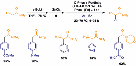 treatment of dialkyl acetamides or dialkyl propionamides with s-BuLi treatment of dialkyl acetamides or dialkyl propionamides with s-BuLi