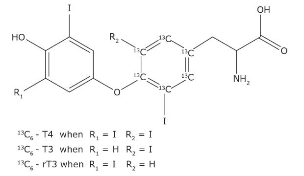 Structure of three internal standards used. All three internal standards have the <sup>13</sup>C<sub>6</sub> substitution in the same location, the internal phenyl ring. Chemical structures of three internal standards, each with a 13C6 substitution on the internal phenyl ring. These structures consist of two aromatic rings connected by an oxygen atom. The left ring includes variable substituents labeled as R1 and R2, and an iodine atom at the third position. The right ring, containing the 13C6 substitution, has an iodine atom at the fourth position, a side chain with an amino group (NH2), and a carboxyl group (COOH). The internal standards are identified as 13C6-T4 when R1 = I and R2 = I, 13C6-T3 when R1 = H and R2 = I, and 13C6-rT3 when R1 = I and R2 = H.