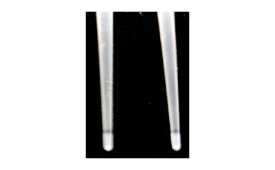 A close-up view of two slender, transparent pins positioned vertically against a black background. Each pin has a slightly rounded tip and features a visible 2 mm coating near the tip, indicative of a C18 coating. The coating appears as a faint, slightly darker band on the otherwise smooth and uniform surface of the pins. The pins are evenly spaced and parallel to each other, showcasing their fine and precise construction.  A close-up view of two slender, transparent pins positioned vertically against a black background. Each pin has a slightly rounded tip and features a visible 2 mm coating near the tip, indicative of a C18 coating. The coating appears as a faint, slightly darker band on the otherwise smooth and uniform surface of the pins. The pins are evenly spaced and parallel to each other, showcasing their fine and precise construction.