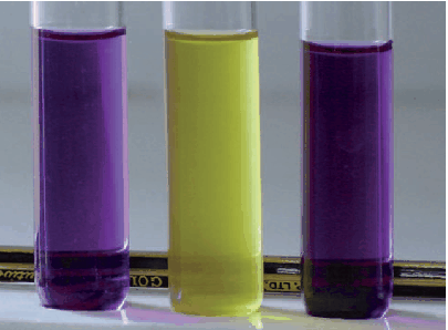 Gram staining (on the left Gram-positive Bacilus cereus, on the right Gram-negative Citrobacter) Gram staining (on the left Gram-positive Bacilus cereus, on the right Gram-negative Citrobacter)