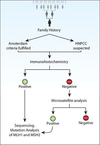 Recommendations for genetic screening for hereditary nonpolyposis colorectal cancer (HNPCC) Recommendations for genetic screening for hereditary nonpolyposis colorectal cancer (HNPCC)
