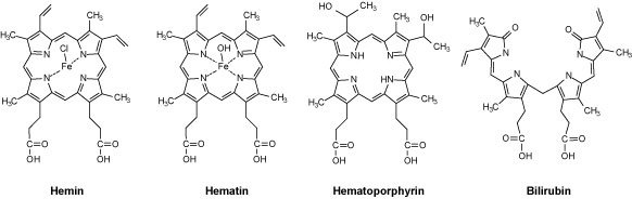 Chemical Structures of Hemin, Hematin, Hematoporphyrin, and Bilirubin Chemical Structures of Hemin, Hematin, Hematoporphyrin, and Bilirubin