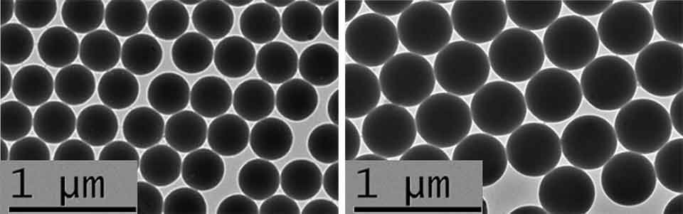 TEM analysis of Estapor®  Red Intense TEM image of Estapor<sup>®</sup> K1-030 Red Intense fluorescent microspheres & Estapor<sup>®</sup> K1-040 Red Intense fluorescent microspheres showing black uniformly spherical shapes