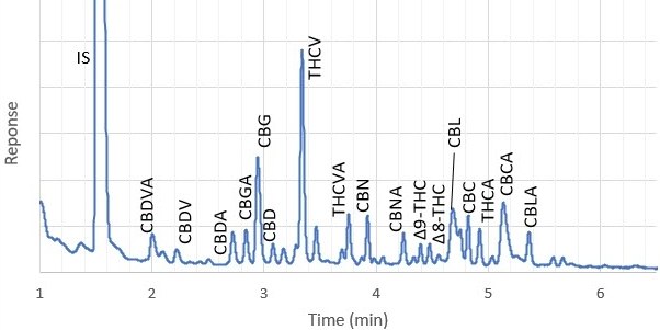 Hop flowers 05% Hop flowers, spiked at .05% with cannabinoids.