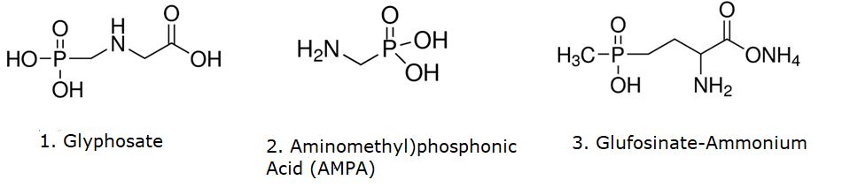 Structural formulas of glyphosate (1), (aminomethyl)phosphonic acid (AMPA, 2) and glufosinate-ammonium (3). Chemical structures of Glyphosate (left), (aminomethyl)phosphonic acid (AMPA) (middle) and glufosinate-ammonium (right)