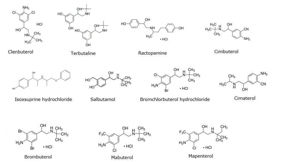 Structures of β-receptor agonists determined. Chemical structures of β-receptor agonists in three rows. The first row shows the structures of clenbuterol, terbutaline, ractopamine, and cimbuterol from left right. The second row shows isoxsuprine hydrochloride, salbutamol, bromchlorbuterol hydrochloride, cimaterol, and brombuterol from left to right. The third row shows brombuterol, mabuterol and mapenterol from left to right.