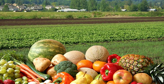 Pesticides and Residuals:  History and Food Safety Pesticides and Residuals:  History and Food Safety
