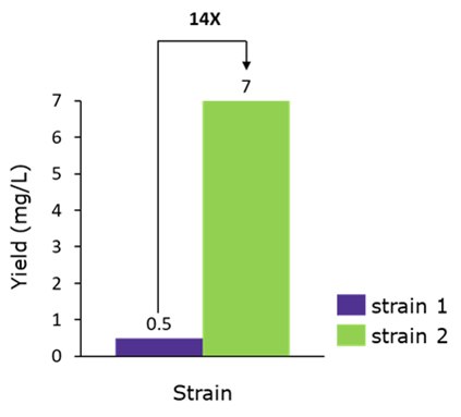 Kdo2-lipid-A-yield Kdo2-lipid A yield from two novel engineered strains in 50-L fermentation. Strain 2 generated a 14X yield increase over strain 1, making it the best candidate for large-scale production of Kdo2-lipid A. Note that there is no reliable baseline to calculate overall yield improvement compared to wild-type E. coli, because Kdo2-lipid A does not naturally accumulate in wild-type strains.