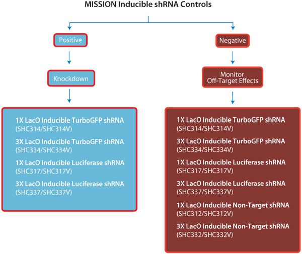 TRC2 shRNA Controls Inducible shRNA Controls