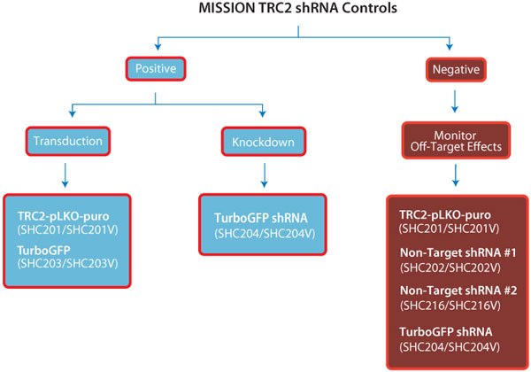 TRC1.5 shRNA Controls TRC2 shRNA Controls