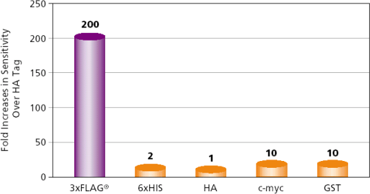 Comparative Sensitivity of 3xFLAG Comparative Sensitivity of 3xFLAG