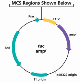 MCS Regions MCS Regions