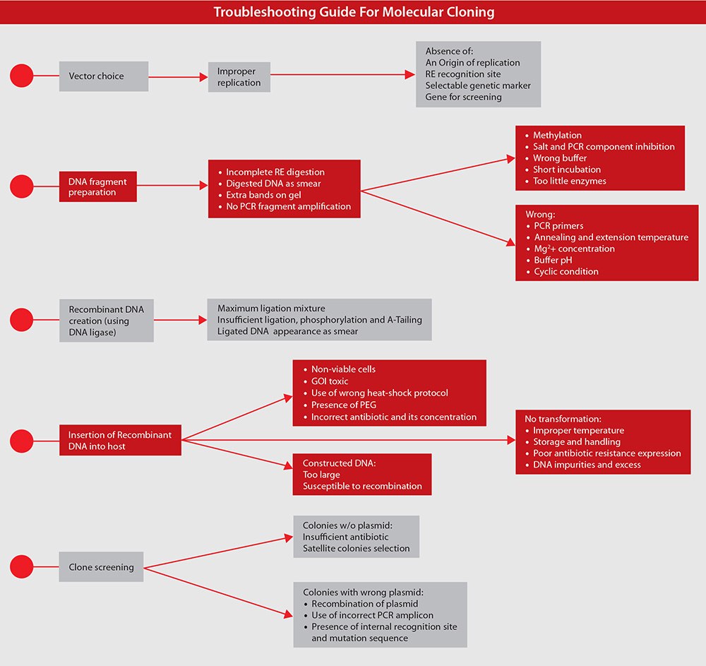 troubleshooting-guide-for-molecular-cloning Troubleshooting Guide for Molecular Cloning