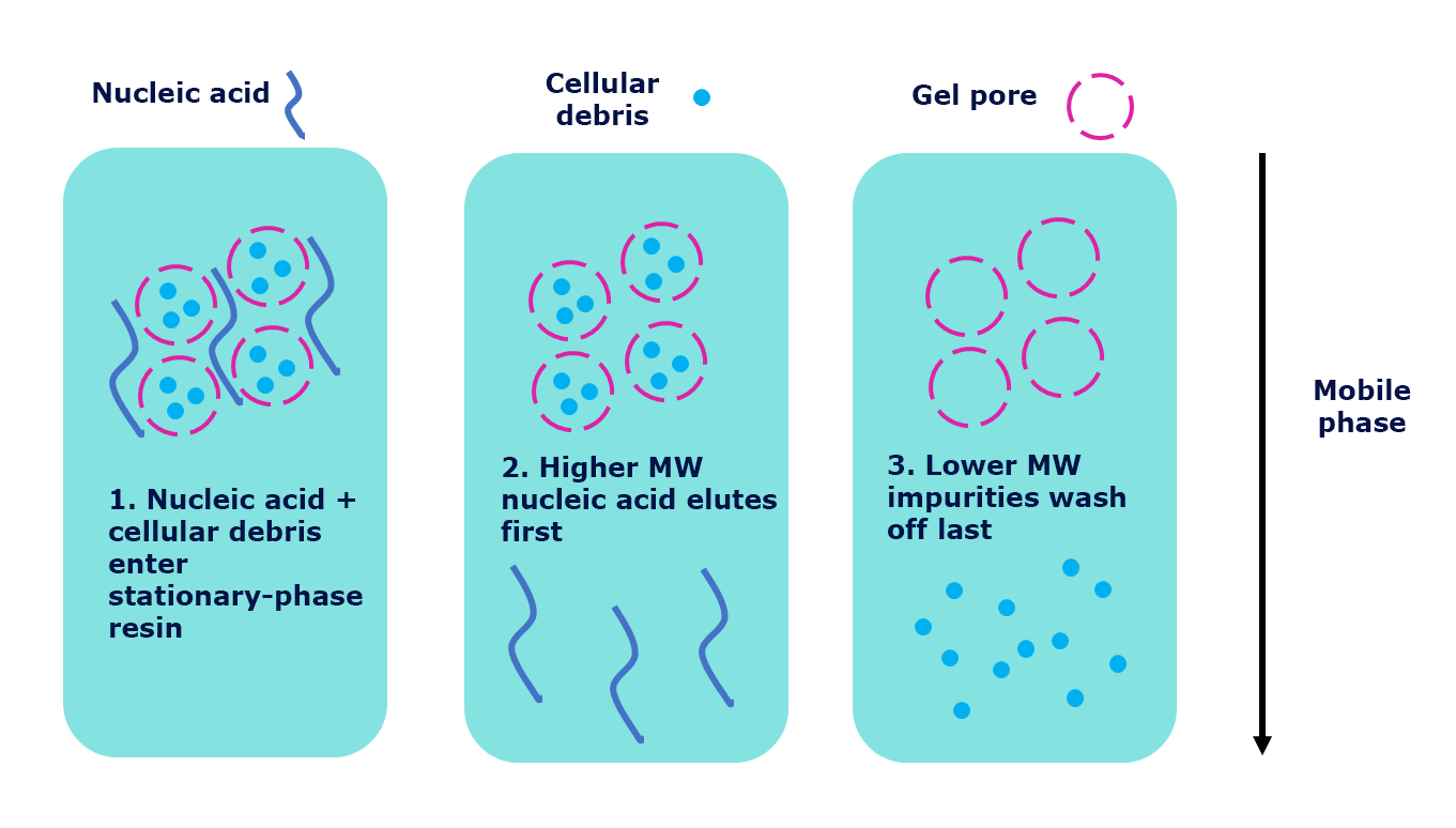 dna-purification-methods Purification of nucleic acid using negative chromatography (size exclusion) techniques.