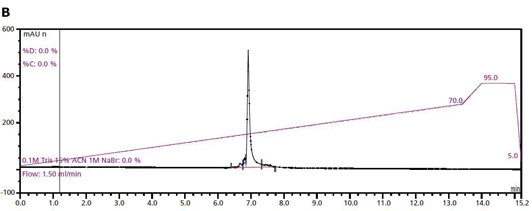 An example anion-exchange chromatogram An example anion-exchange chromatogram