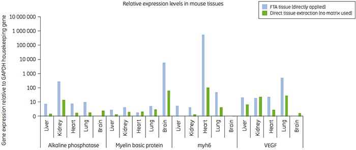 Relative gene expression compared to GAPDH for RNA isolated from different tissues collected on FTA cards (blue). Relative gene expression compared to GAPDH for RNA isolated from different tissues collected on FTA cards (blue).