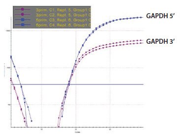GAPDH 3’/5’ Multiplex Assay RNA Sample GAPDH 3’/5’ Multiplex Assay RNA Sample