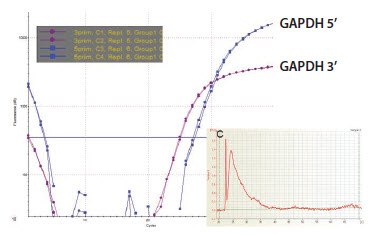 GAPDH 3’/5’ Multiplex Assay Sample C GAPDH 3’/5’ Multiplex Assay Sample C