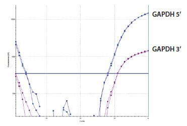 GAPDH 3’/5’ Multiplex Assay Sample D GAPDH 3’/5’ Multiplex Assay Sample D