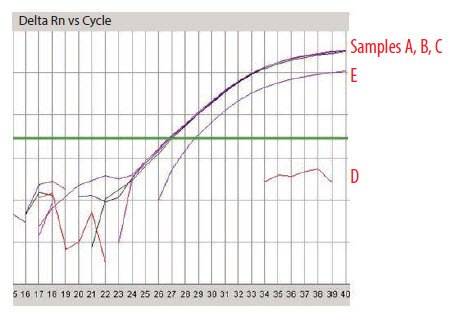 SPUD Analysis of Samples A–E SPUD Analysis of Samples A–E