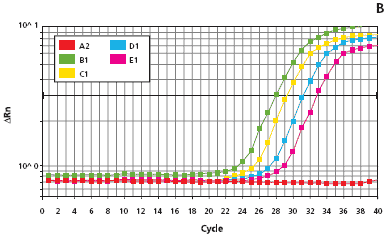 Extract-N-Amp™ Tissue Feature Article  amplification plots for the genomic mouse DNA standards