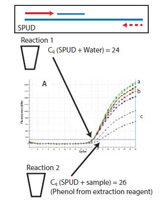 Representation of the SPUD assay Representation of the SPUD assay