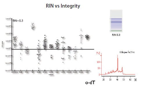 RNA samples from HT29 cells with RIN approximately 5 RNA samples from HT29 cells with RIN approximately 5