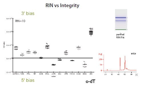 RNA Quality Determination RNA Quality Determination