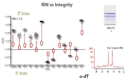 RNA samples from HT29 cells with RIN approximately 7 RNA samples from HT29 cells with RIN approximately 7