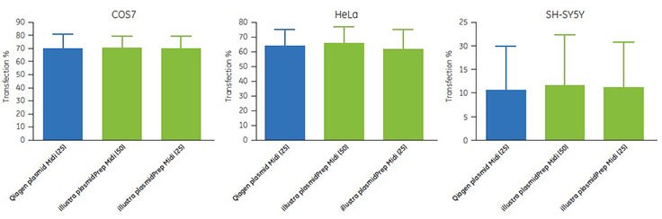 Transfection efficiencies of plasmid DNA generated using illustra PlasmidPrep Midi Flow Kit and Qiagen Plasmid Midi Kit. The numbers 25 and 50 indicate the culture volume (mL) from which plasmid DNA was extracted. Transfection efficiencies of plasmid DNA