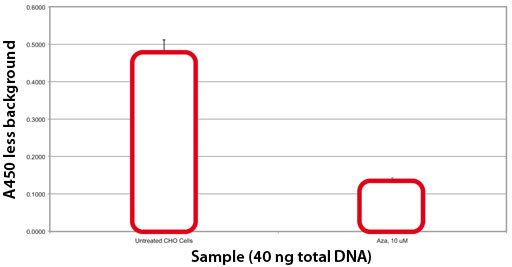 Effect of Azacytadine on CHO Cell Global Methylation Effect of Azacytadine on CHO Cell Global Methylation