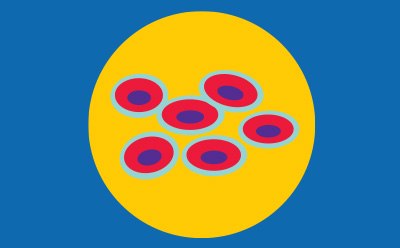 CHOOSE A CELL LINE FOR YOUR SCREEN Choose a cell line for your screen